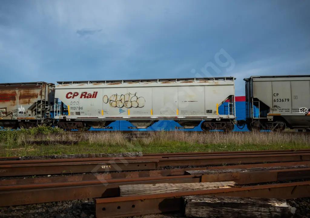 SOO113796 - NORTH-AMERICA