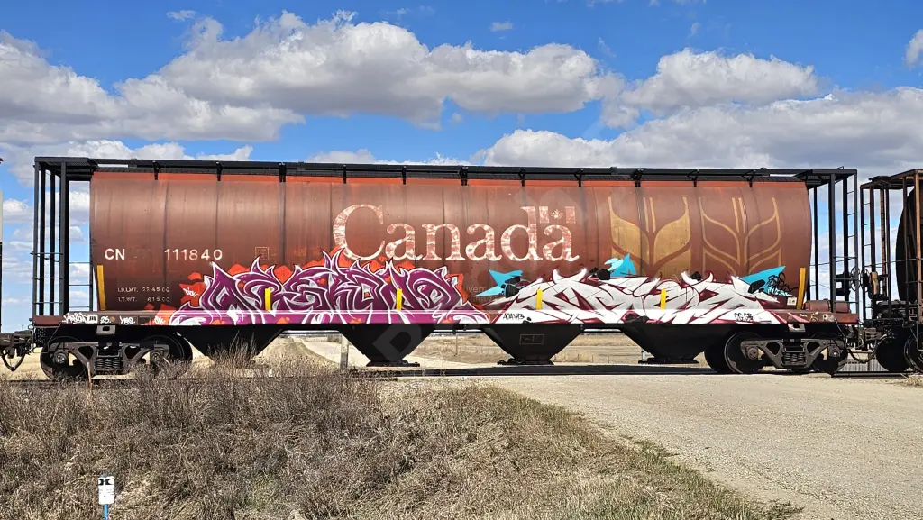 CN111840 - NORTH-AMERICA