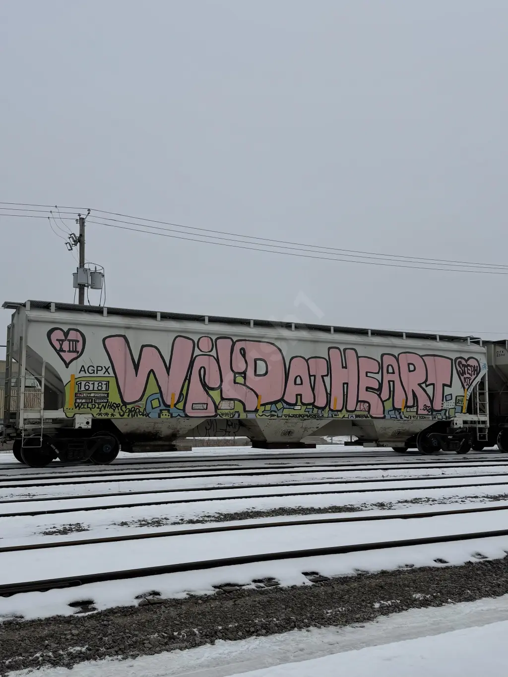 AGPX16181 - NORTH-AMERICA