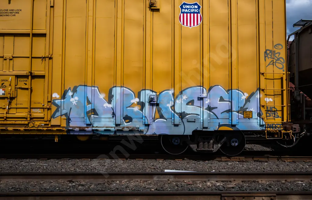 UP700050 - NORTH-AMERICA