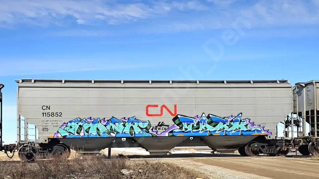 CN115852 - NORTH-AMERICA