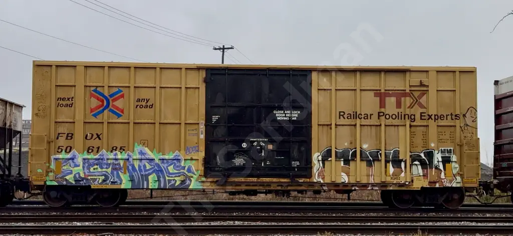 FBOX506185 - NORTH-AMERICA