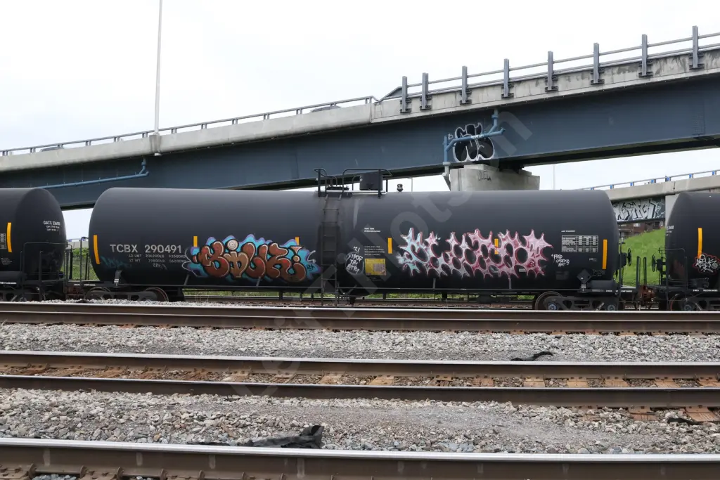 TCBX290491 - NORTH-AMERICA