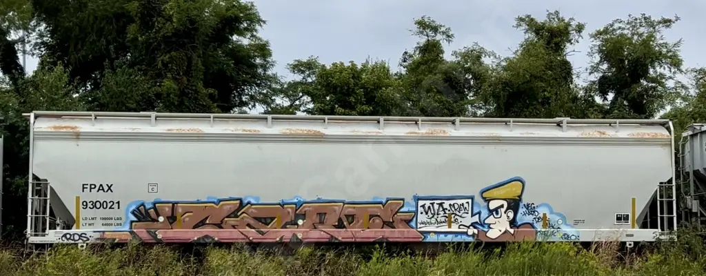 FPAX930021 - NORTH-AMERICA