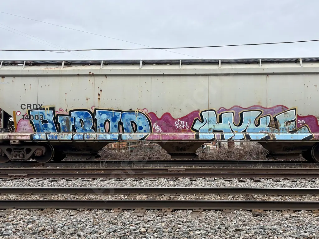CRDX14003 - NORTH-AMERICA