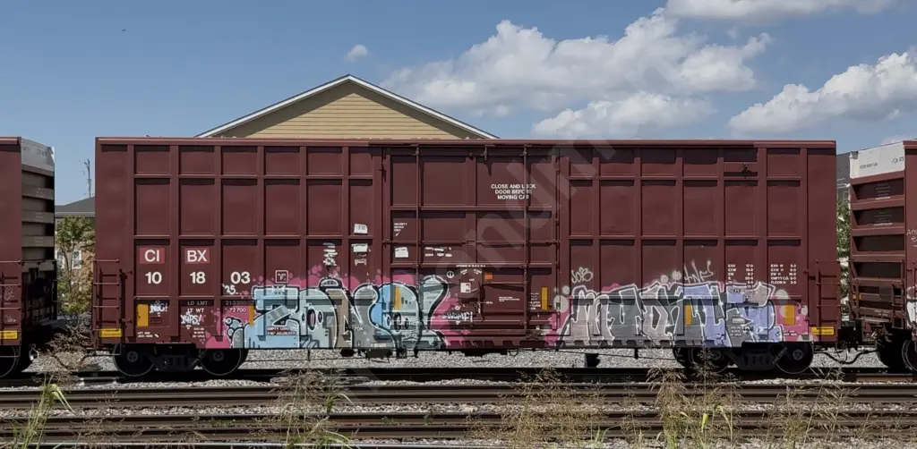 CIBX101803 - NORTH-AMERICA