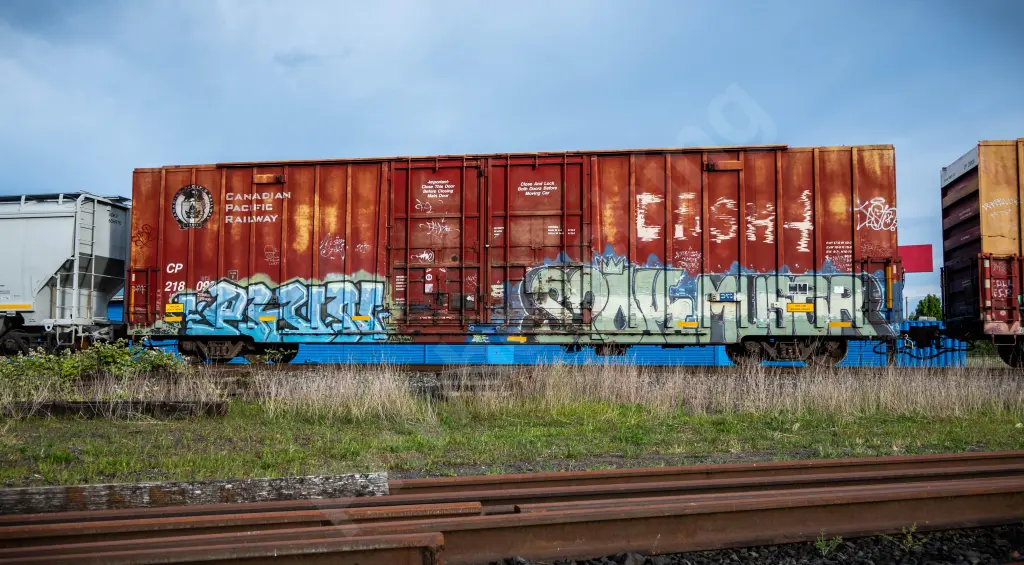 CP218091 - NORTH-AMERICA