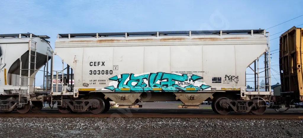 CEFX303080 - NORTH-AMERICA