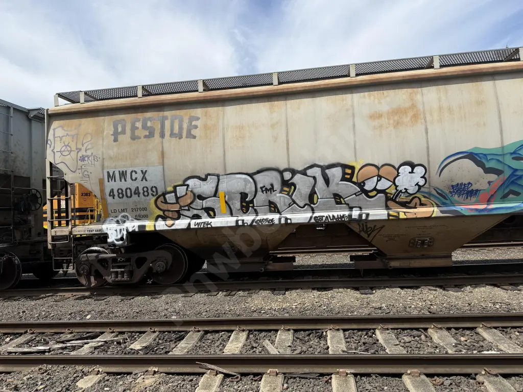 MWCX480489 - NORTH-AMERICA