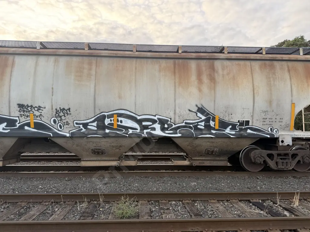 MWCX480463 - NORTH-AMERICA