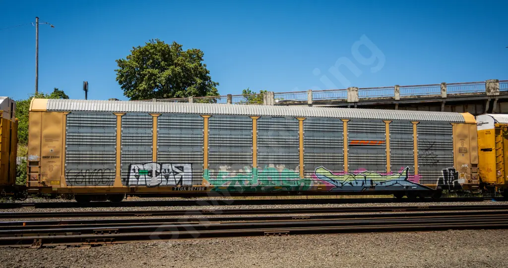 TTGX967196 - NORTH-AMERICA