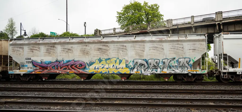 CCBX71291 - NORTH-AMERICA