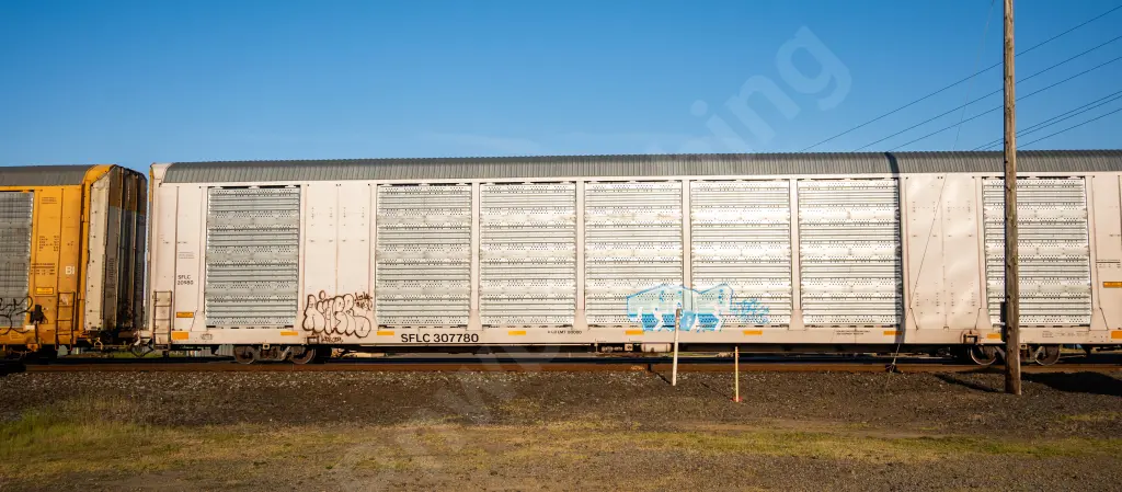 SFLC307780 - NORTH-AMERICA