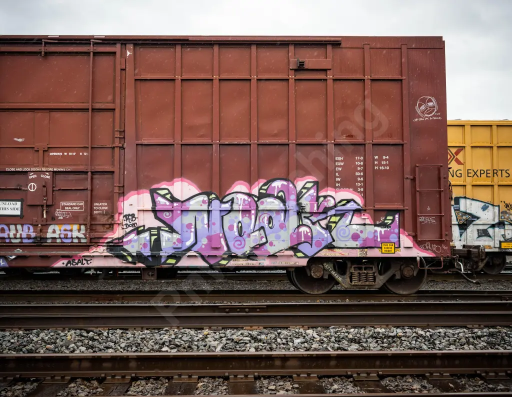 BKTY156676 - NORTH-AMERICA