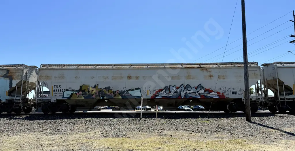 TILX638855 - NORTH-AMERICA