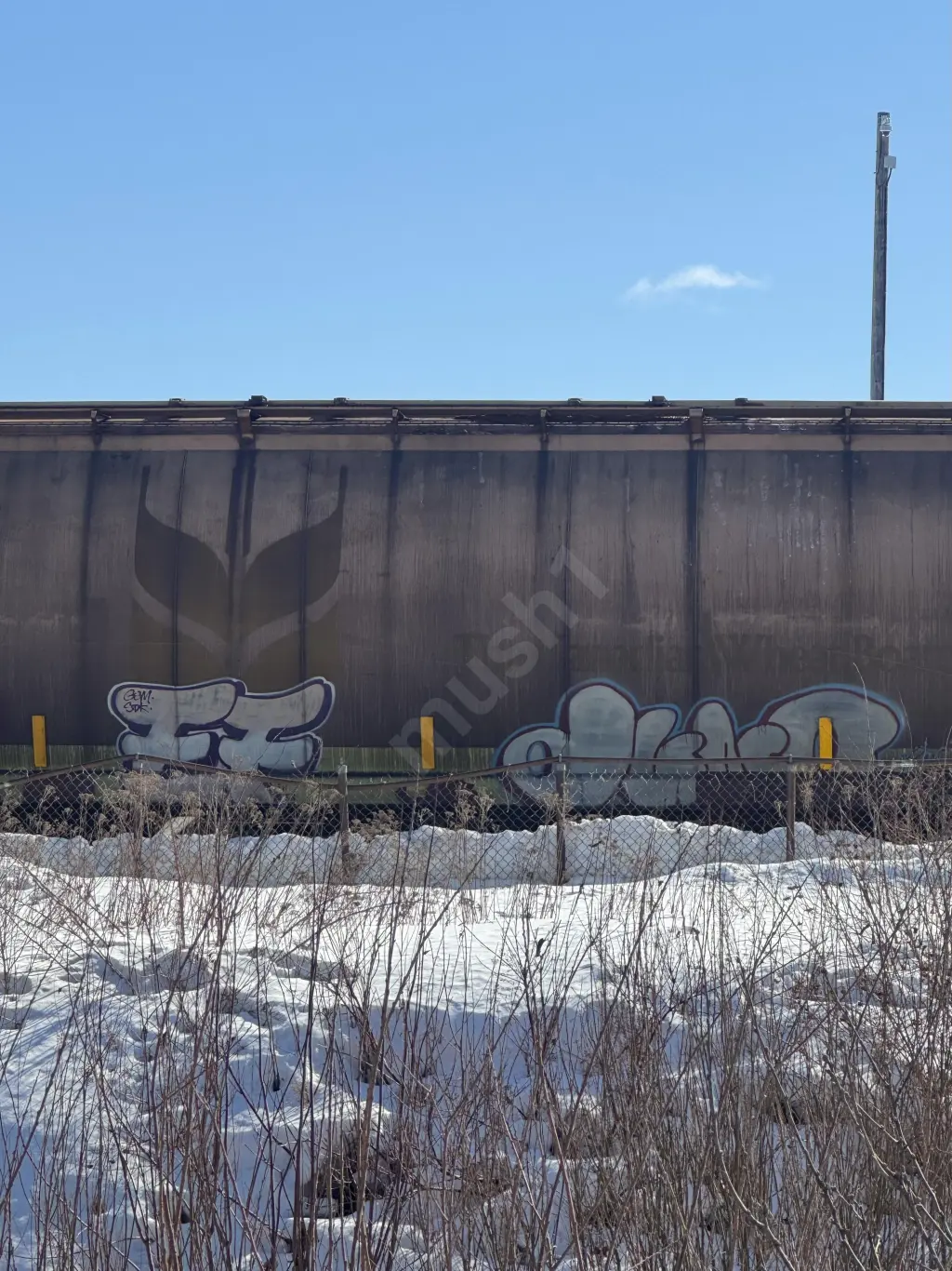 MGLX396267 - NORTH-AMERICA
