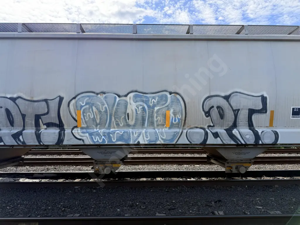DNAX585020 - NORTH-AMERICA