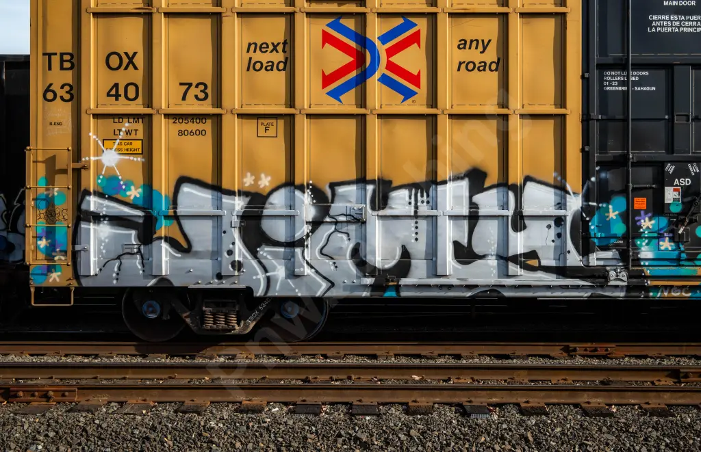 TBOX634073 - NORTH-AMERICA
