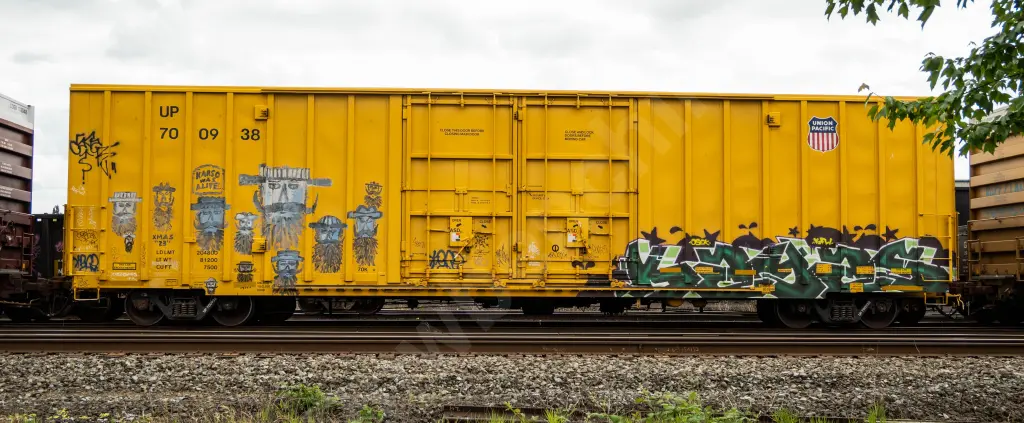 UP700938 - NORTH-AMERICA