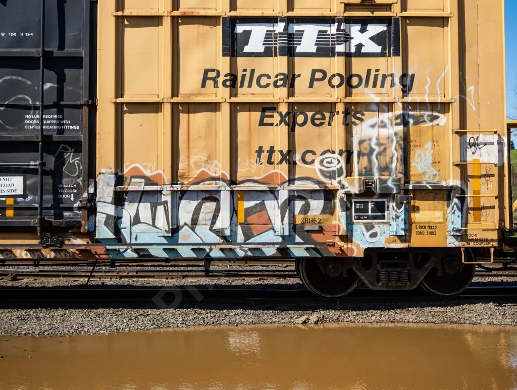 FBOX505228 - NORTH-AMERICA