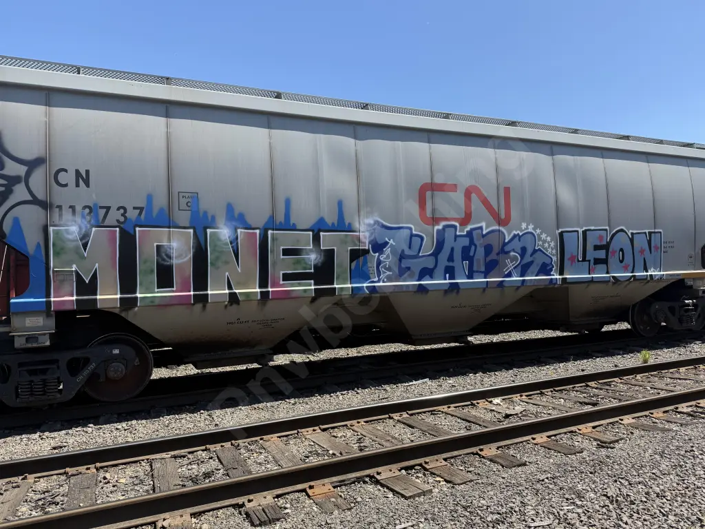 CN113737 - NORTH-AMERICA