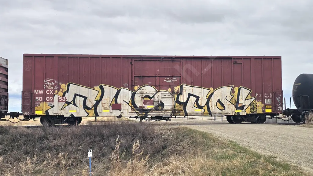 MWCX500953 - NORTH-AMERICA
