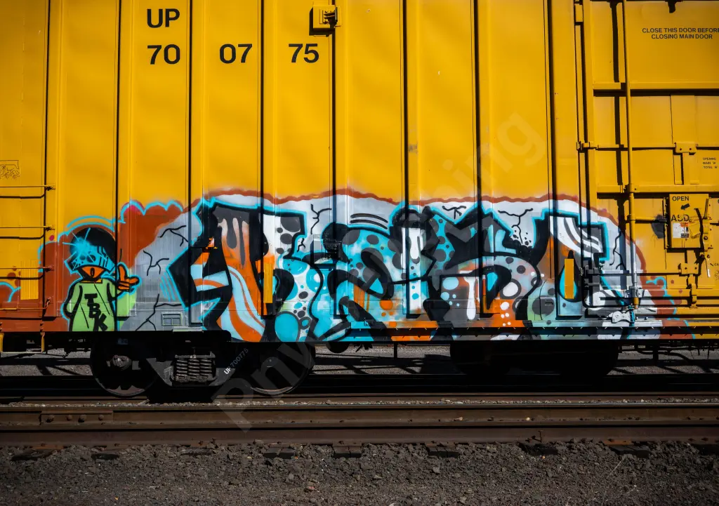 UP700775 - NORTH-AMERICA