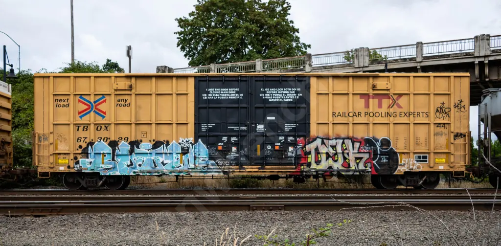TBOX673029 - NORTH-AMERICA