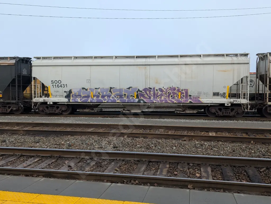 SOO116431 - NORTH-AMERICA