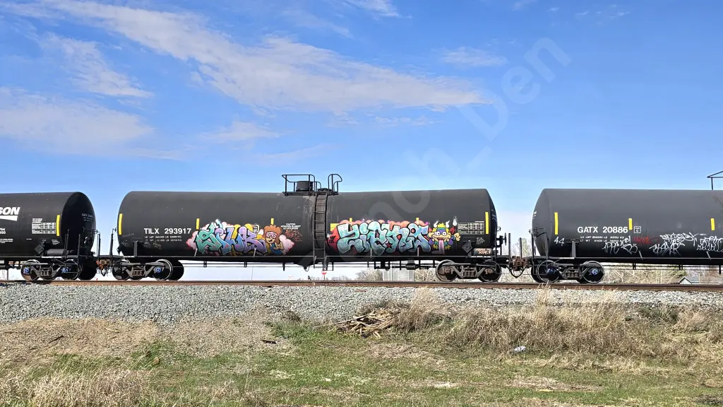 TILX293917 - NORTH-AMERICA