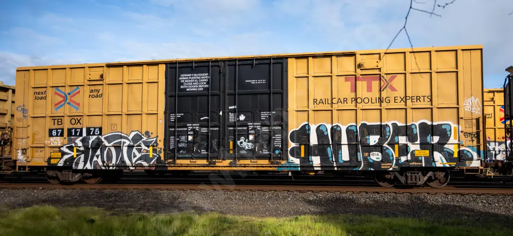 TBOX671775 - NORTH-AMERICA