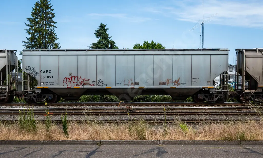 CAEX581891 - NORTH-AMERICA