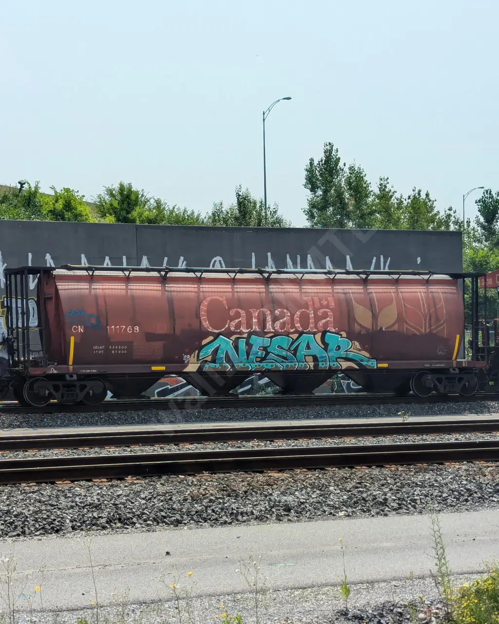 CN111768 - NORTH-AMERICA
