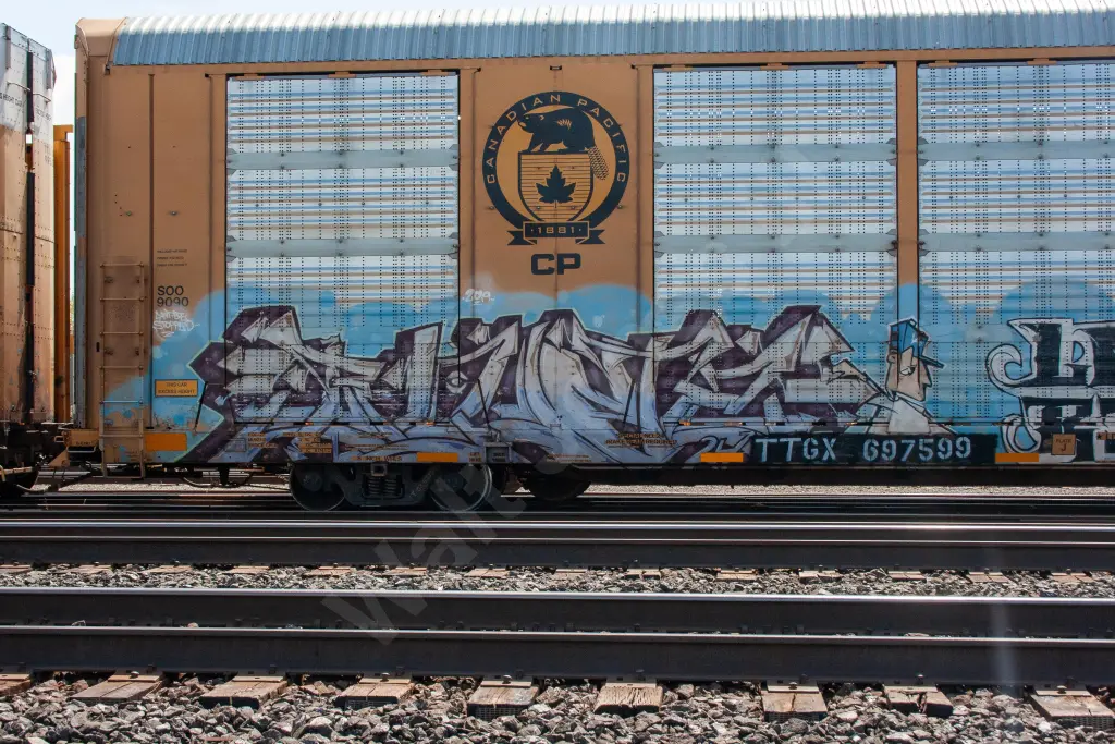 TTGX897599 - NORTH-AMERICA