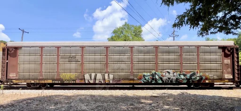TTGX981465 - NORTH-AMERICA