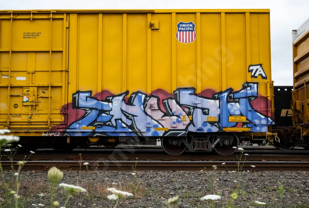 UP701228 - NORTH-AMERICA