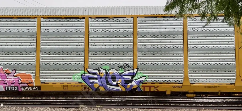 TTGX699594 - NORTH-AMERICA
