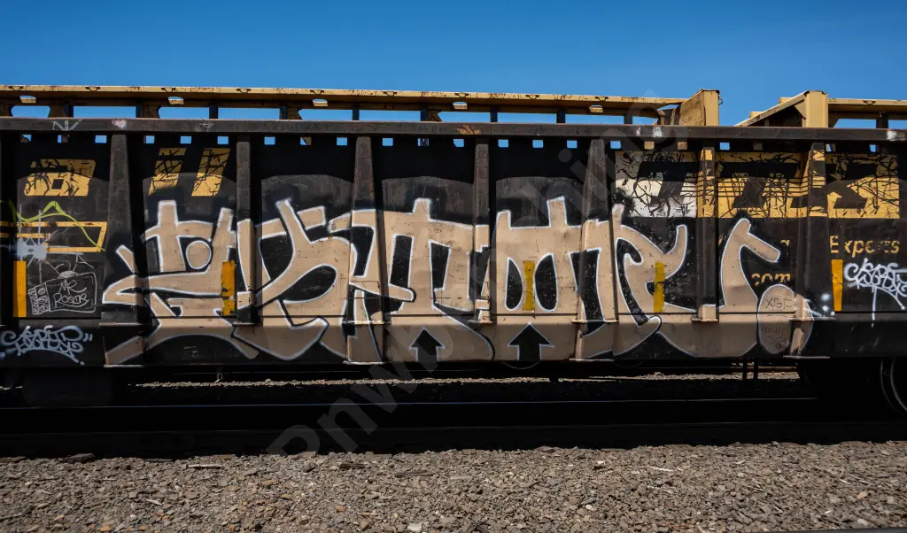 GNTX295081 - NORTH-AMERICA