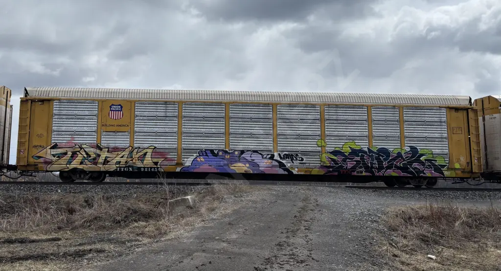 TTGX981456 - NORTH-AMERICA