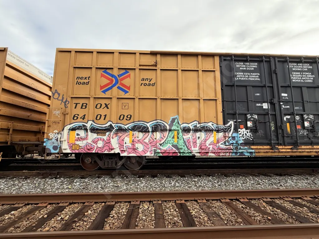 TBOX640109 - NORTH-AMERICA