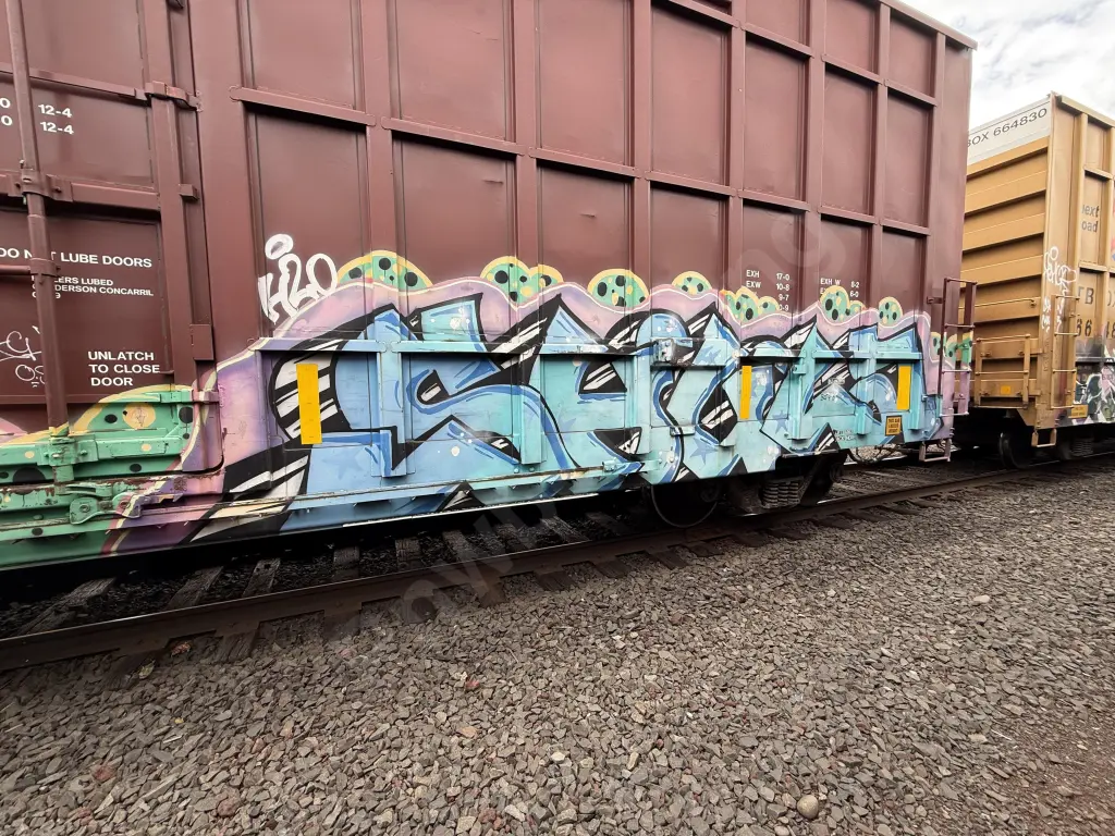 UCRY300042 - NORTH-AMERICA
