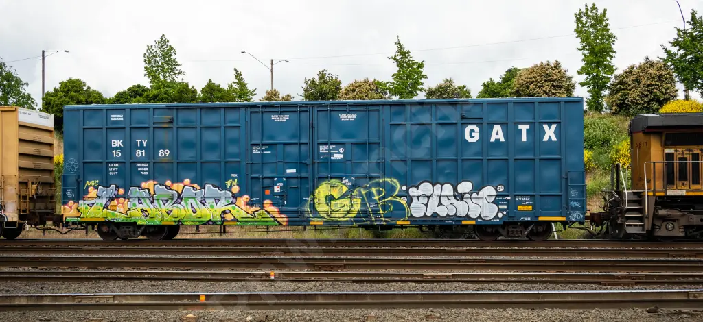 BKTY158189 - NORTH-AMERICA