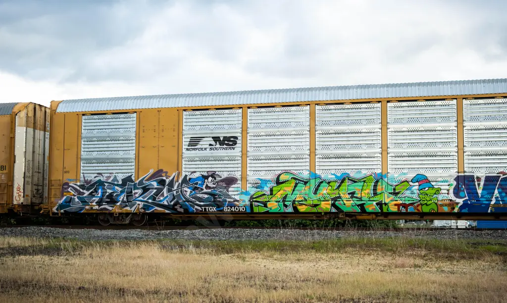 TTGX824010 - NORTH-AMERICA