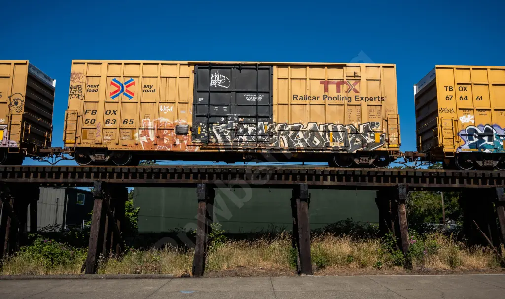FBOX506365 - NORTH-AMERICA