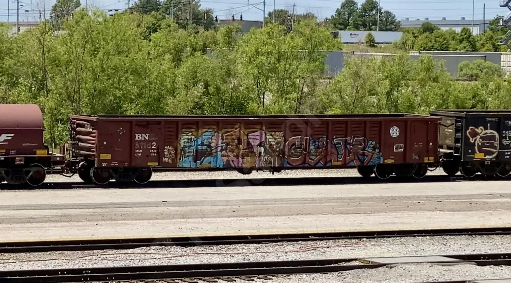 BN51162 - NORTH-AMERICA