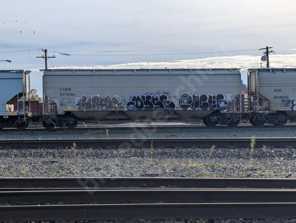 COER317656 - NORTH-AMERICA