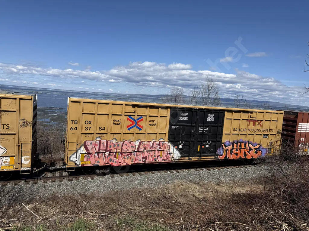 TBOX643784 - NORTH-AMERICA