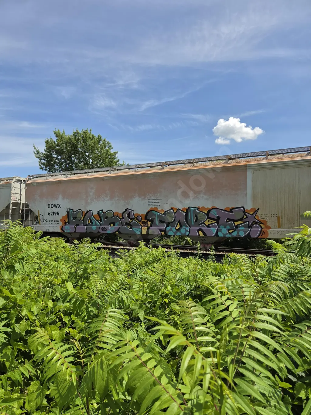 DOWX62195 - NORTH-AMERICA