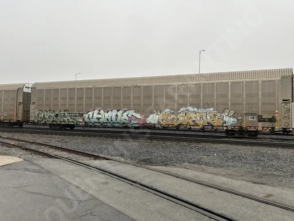 CP546079 - NORTH-AMERICA