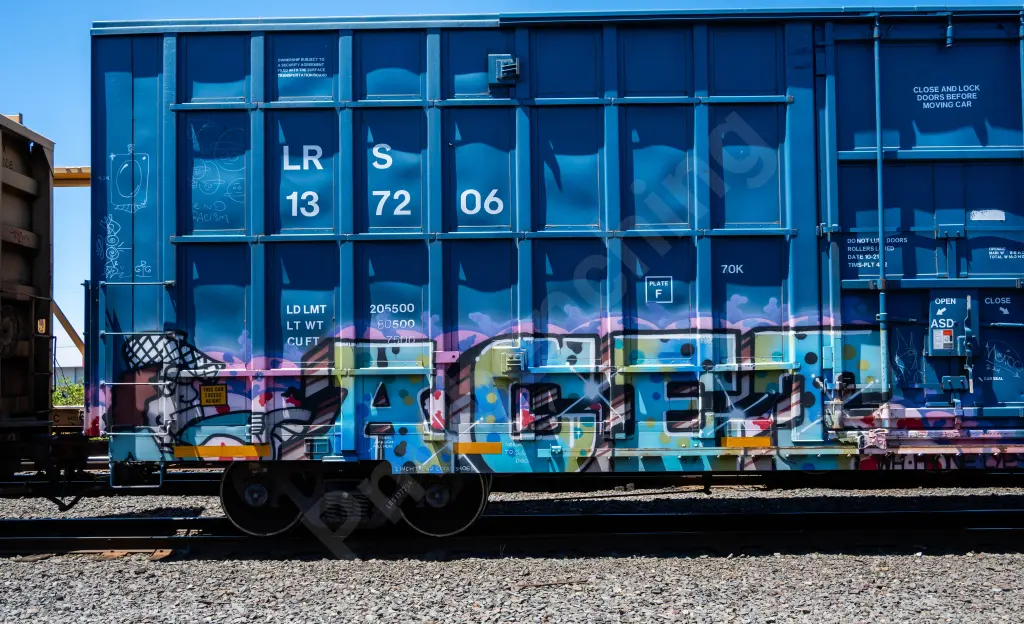 LRS137206 - NORTH-AMERICA